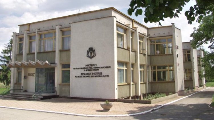 Снимка: iremk.net