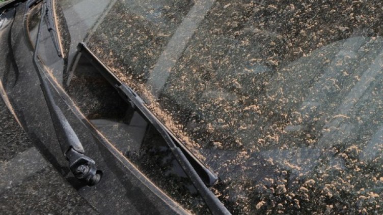 Снимка: архив, Булфото