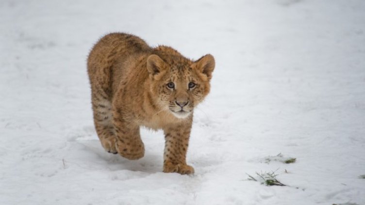 Денят в снимки