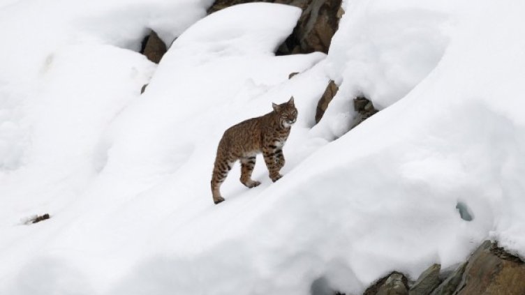 Снимка: Reuters