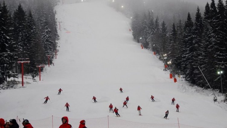 Снимка: Булфото