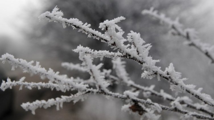 Снимка: БулФото-архив