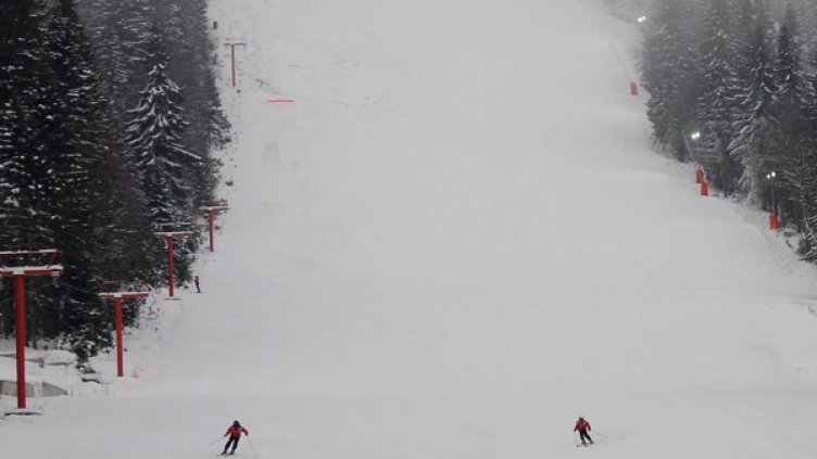 Снимка: БулФото-архив