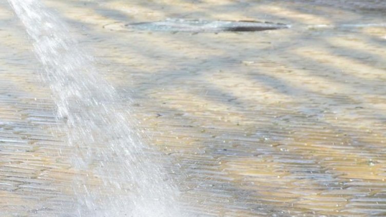 Архив: Булфото