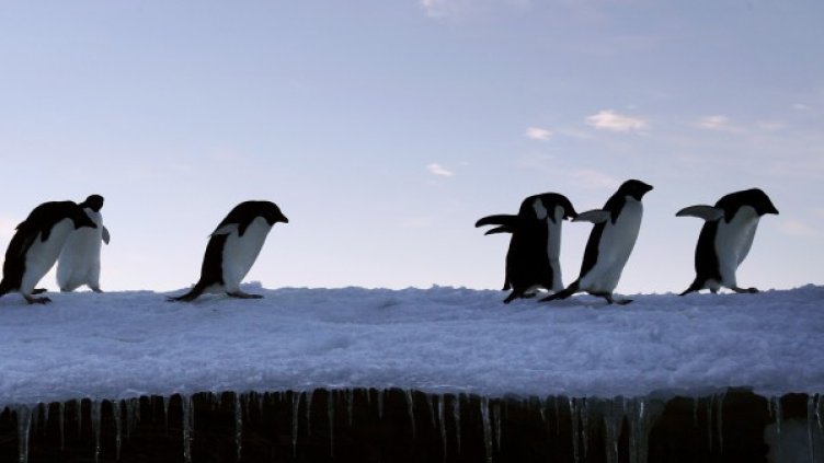 Снимка: архив, Reuters