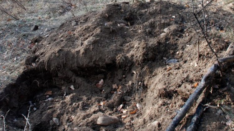 Мястото на убийството край с. Мандра. Снимка БТА