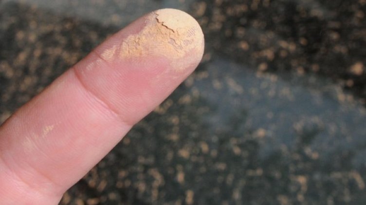 Снимка: архив, Булфото