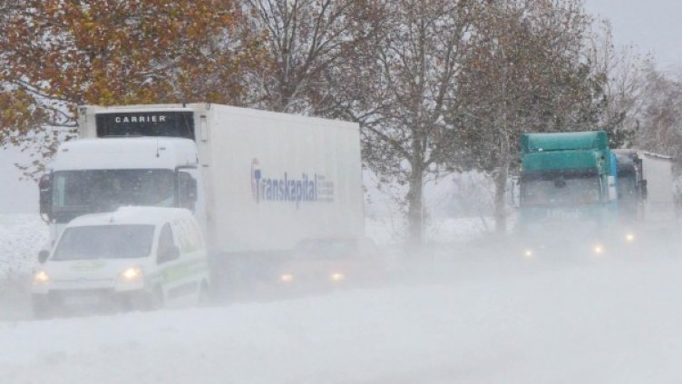 Снимка: архив, Булфото