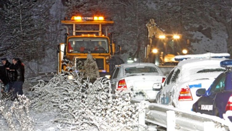 Четирима младежи загинаха край Асеновград в тежка катастрофа. Снимка: Булфото