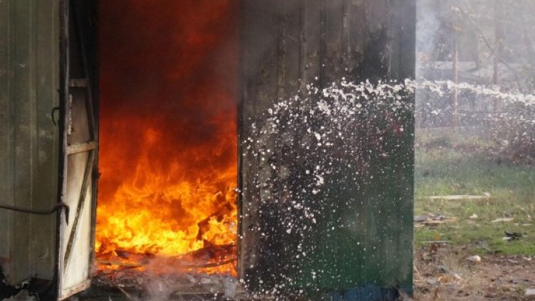 Снимка, архив Булфото