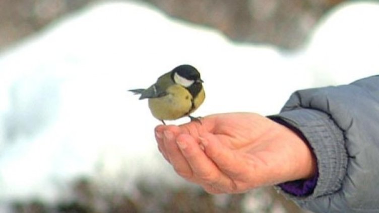 Снимка: Булфото, архив