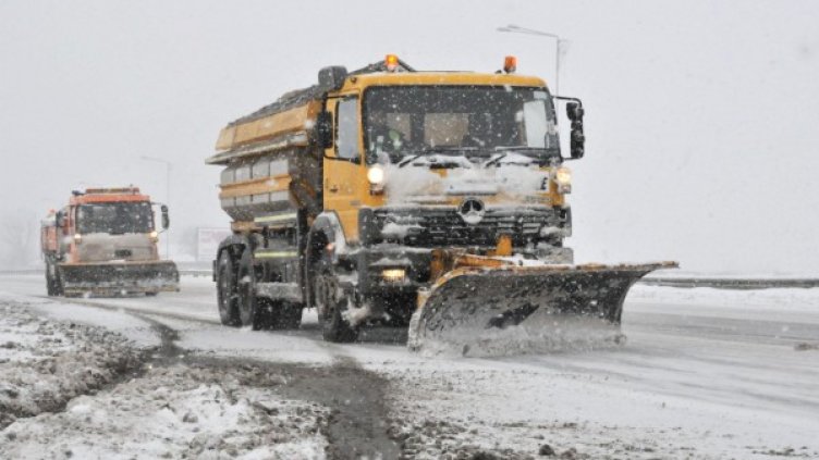 Снимка: Булфото