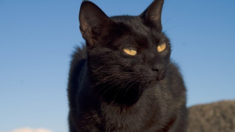 Снимка: Reuters, архив