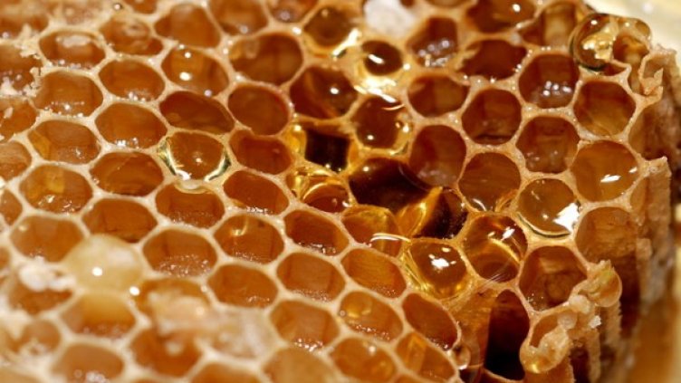 Снимка: Sxc.hu