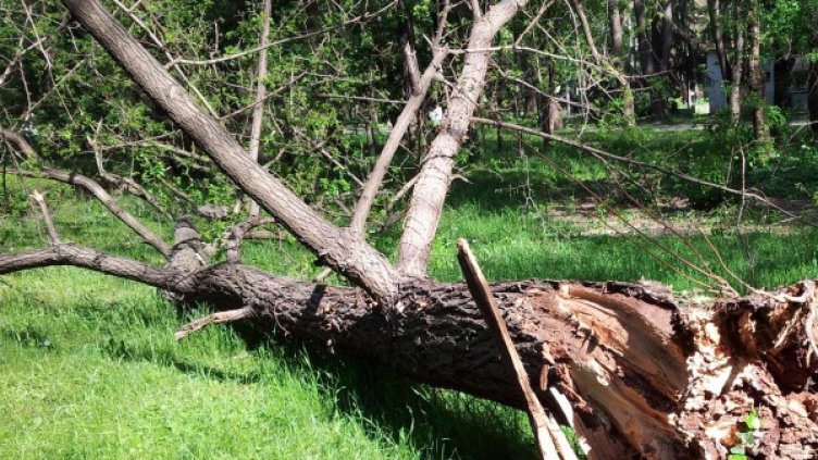 Снимка: Булфото, архив