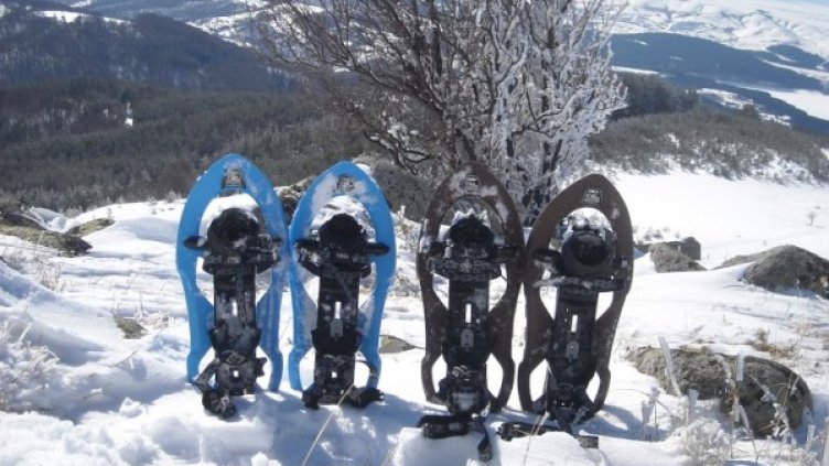 Снимка: Люси Стаменова