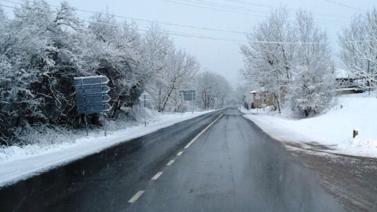 Снимка БГНЕС