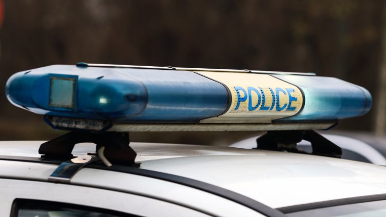 Снимка: архив, БГНЕС