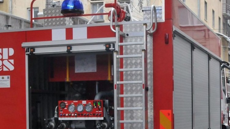 Снимка: Булфото, архив