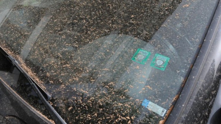 Запрашаване. Снимка, архив: Булфото