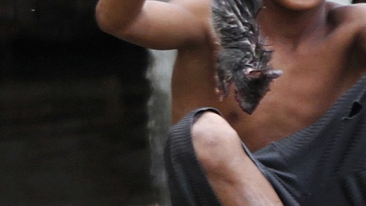 Снимка: Ройтерс, архив