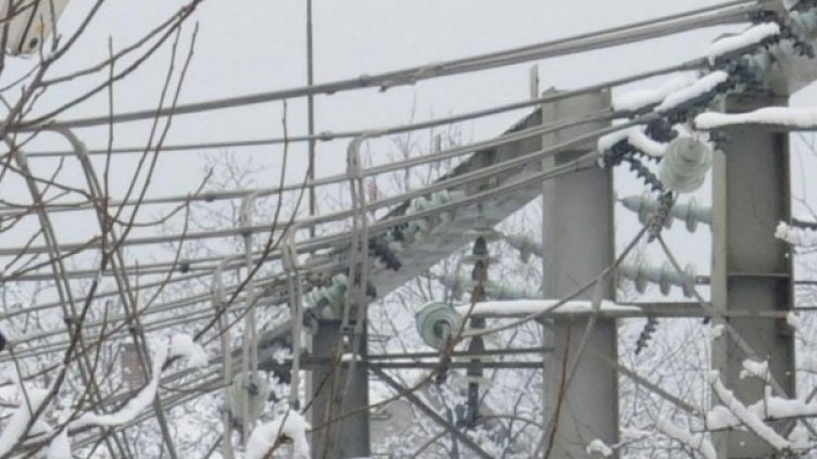 Снимка: Булфото, архив