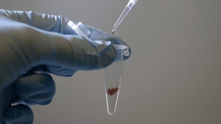 Снимка: Reuters