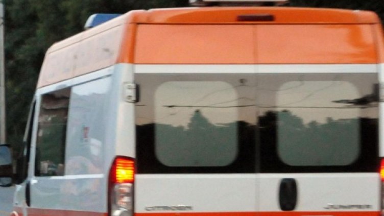 Снимка: архив, БулФото