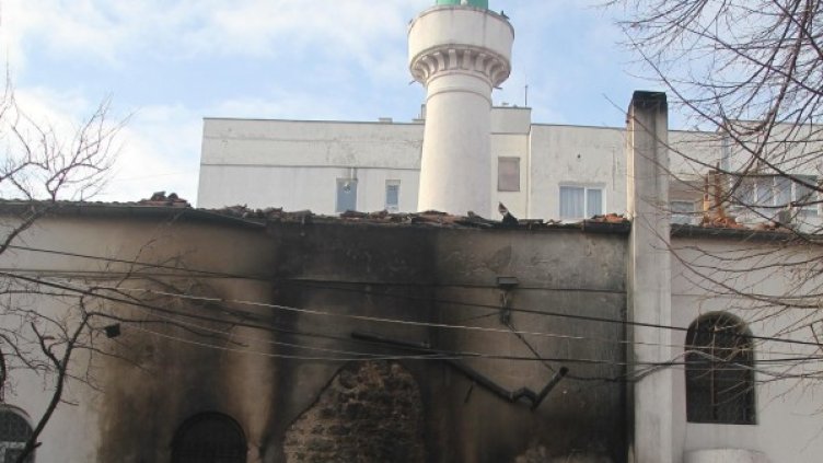 Щетите от пожара. Снимка: БулФото