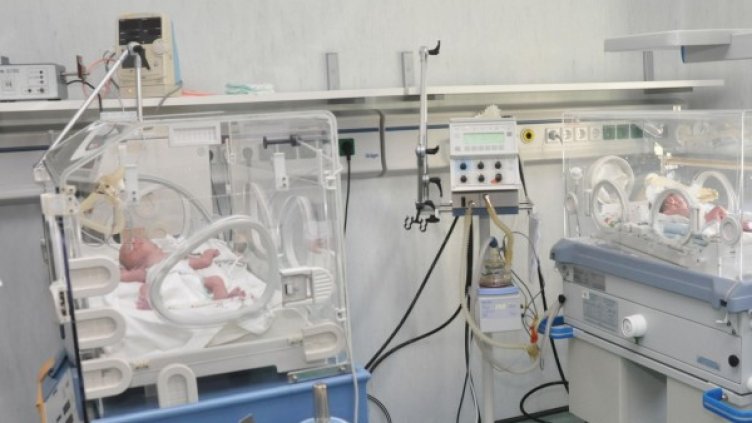 Снимка: Булфото, архив