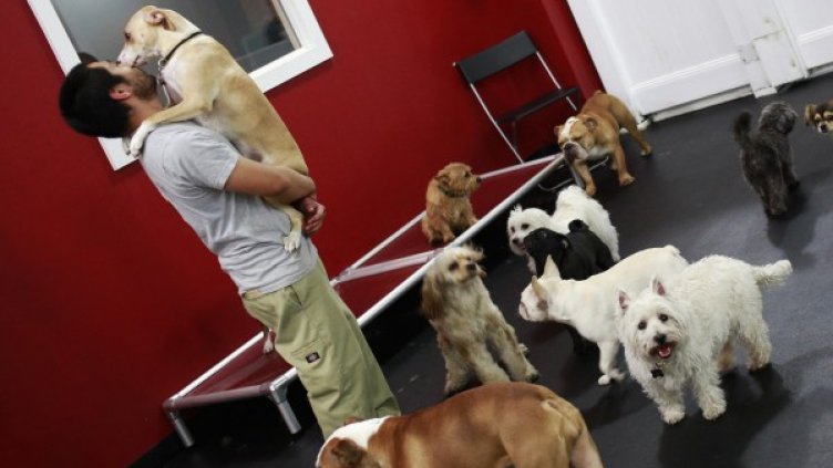 Снимка: Reuters