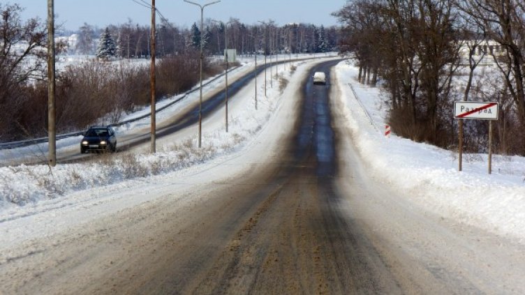 Снимка: архив Булфото