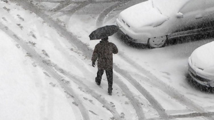 Снимка: Булфото, архив