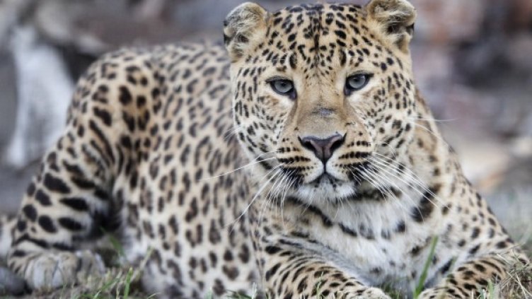 Снимка: архив, Reuters