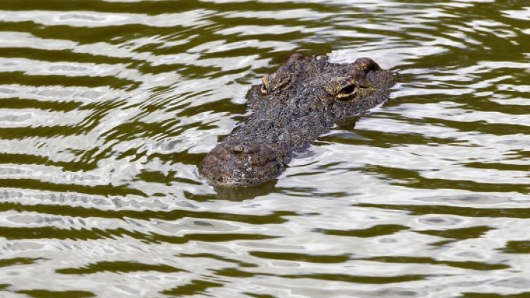 Снимка: архив, Reuters