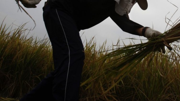 Снимка: архив, Ройтерс