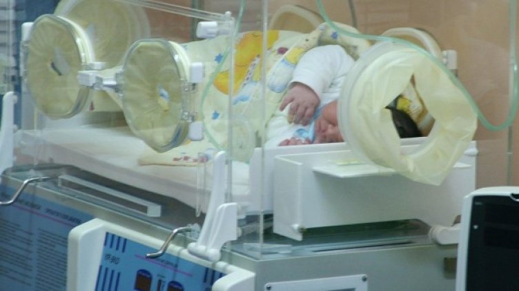 Снимка: Булфото, архив