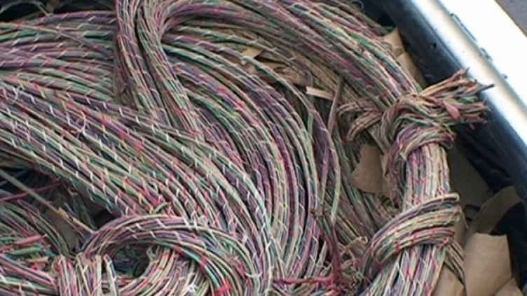 Снимка: архив, Булфото