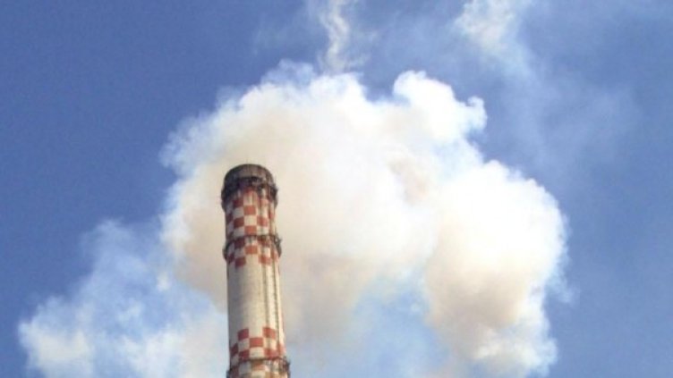 Архив: Булфото