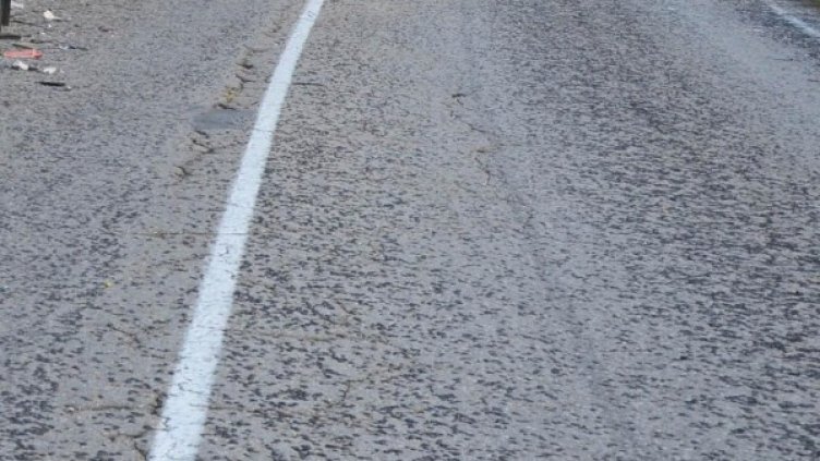 Архив: Булфото