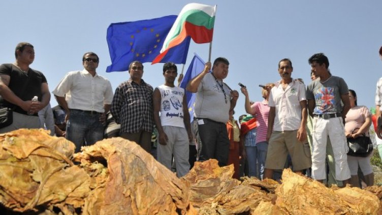 През лятото тютюнопроизводителите излязоха на протест. Снимка: Булфото, архив