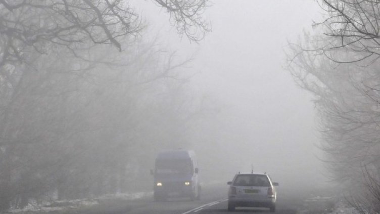 Архив: Булфото