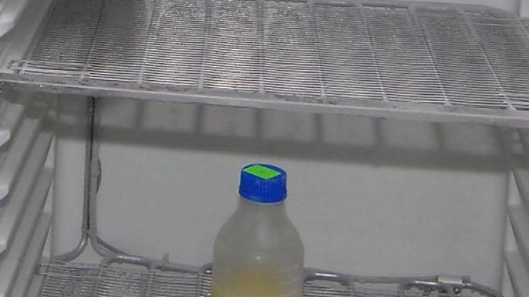 Дизел във фризера. Снимка: архив, Булфото