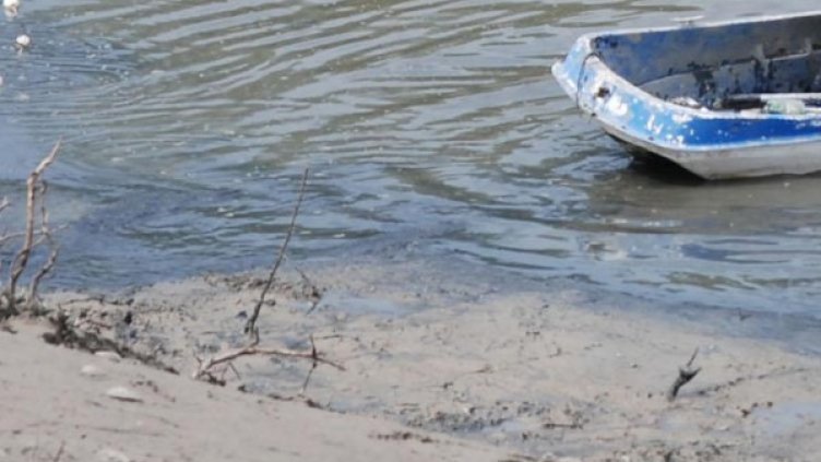 Снимка: архив, БулФото