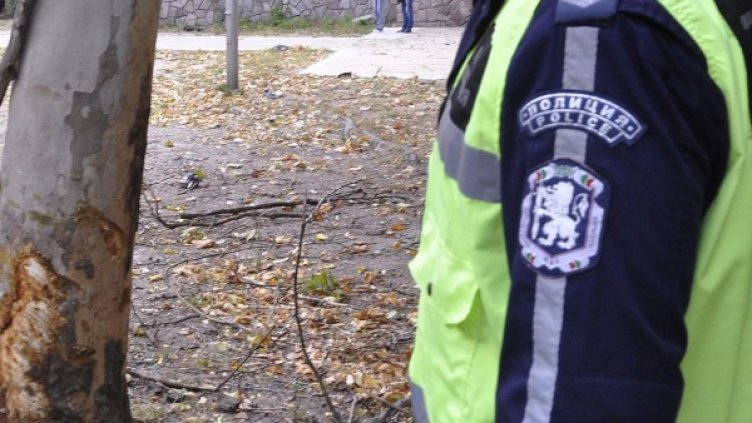 Снимка: Булфото, архив