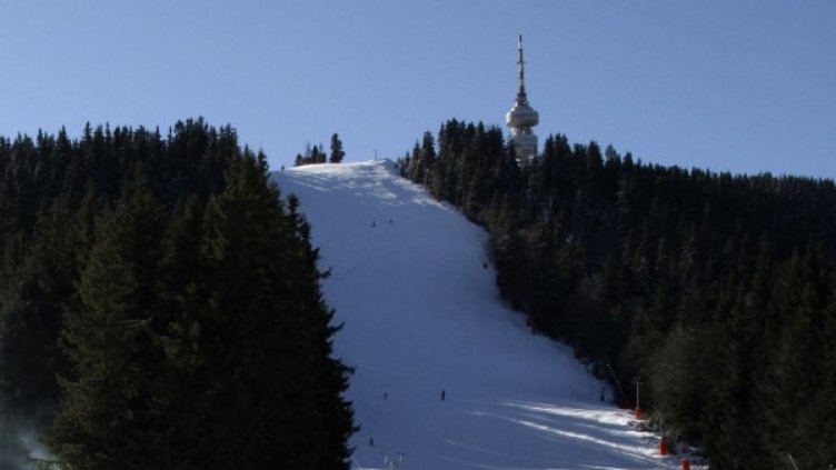 Снимка: Impact Press Group