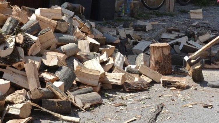 Снимка: Булфото, архив