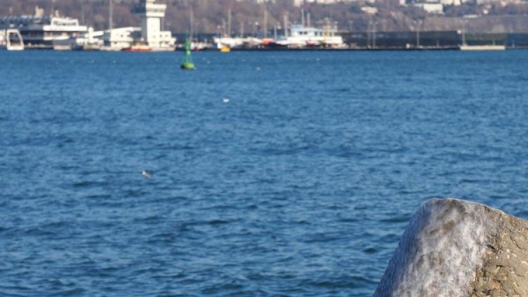 Снимка: Булфото