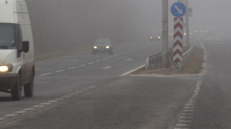 Снимка: архив, БулФото