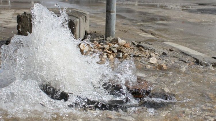 Архив: Булфото